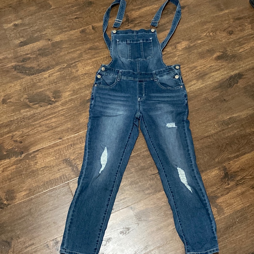 Wallflower Medium overalls